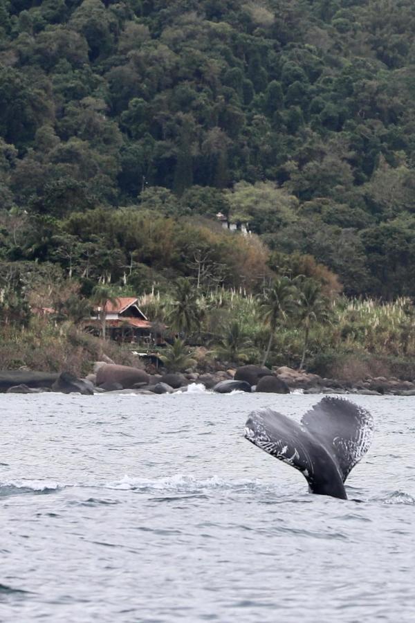 Sol-Lua Bangalo Com Uso Exclusivo Da Piscina Villa Ilhabela Buitenkant foto